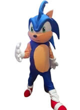 1654701889_Disfraz-Sonic.jpg